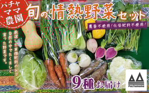 農園自慢の情熱野菜セット（9品）【野菜 詰め合わせ お任せ 季節物 セット 山芋 パセリ わさび菜 ポップコーン かぶ 人参 里芋 たまねぎ 玉ねぎ ルッコラ ほうれん草 春菊 大根 芽キャベツ レタス じゃがいも さつまいも とうもろこし そら豆 枝豆 パクチー ビーツ ほうれん草 キャベツ ピーマン なすトマト かぼちゃ】