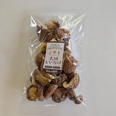 ふるさと納税 大垣市 【訳あり】希少な国産乾燥しいたけ ダイス型 計100g(20g×5袋) |  | 01