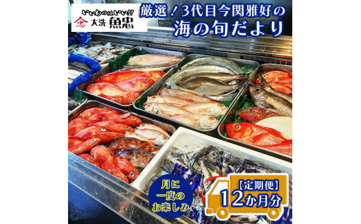 
定期便 12ヶ月 鮮魚店「魚忠」 厳選鮮魚セット 大洗 厳選 旬 魚 さかな
