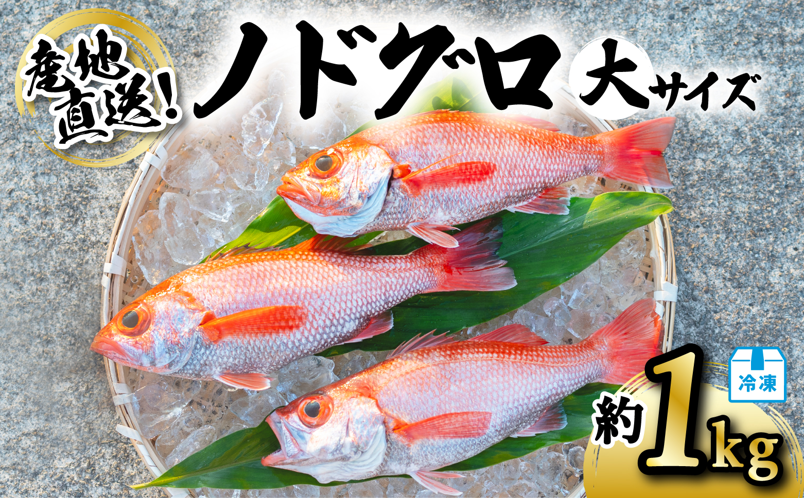ノドグロ 大サイズ 約1kg 産地直送 冷凍 下処理済 アカムツ のどぐろ 高級魚 水揚げ時重量約1kg 下処理後約800g