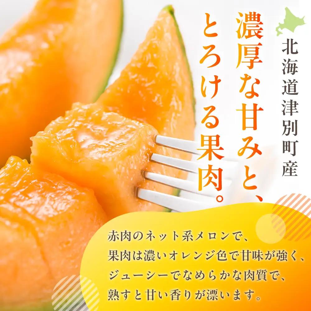 【R8年収穫分】【数量限定】さのさん家のメロン（L玉以上）２玉 湧き水栽培 さの農場 | 北海道津別町