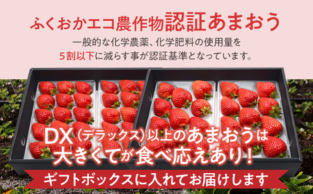 ふくおかエコ農作物認証あまおう ギフト DX等級以上 1箱セット あまおう イチゴ 苺 いちご フルーツ 果物 くだもの 福岡県産 お取り寄せグルメ お取り寄せ 福岡 お土産 九州 福岡土産 取り寄せ