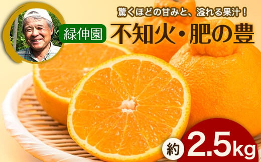 
『緑伸園』の不知火・肥の豊 約2.5kg 【ふるさと納税】《12月中旬-1月下旬出荷》デコポンと同品種
