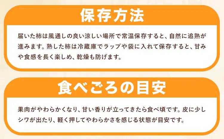 訳あり 柿 紀の川柿 約4kg 