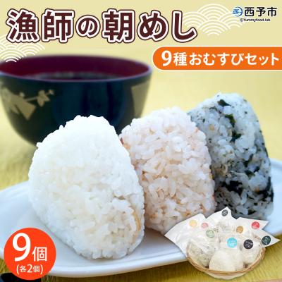 ふるさと納税 西予市 <漁師の朝めし 9種おむすびセット 合計9個(各1個)> 詰め合わせ 無添加 おにぎり ちりめん