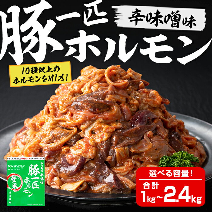 【ふるさと納税】豚一匹ホルモン 辛味噌 1kg～2.4kg 選べる容量！ 国産 豚肉 肉 お肉 辛みそ 味付き ホルモン おつまみ 冷凍【株式会社佐利】tm233・tm372
