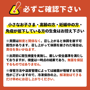 生食可 冷凍牡蠣 24個 殻付き牡蠣