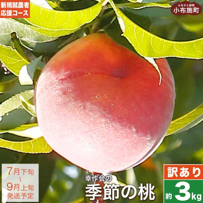 【ふるさと納税】【訳あり】季節の桃 約3kg ［新規就農者応援コース 幸作会］ 桃 もも 不揃い 規格外 家庭用 傷 先行予約 モモ フルーツ 果物 長野 信州 クール便 冷蔵便 数量限定 令和7年産【2025年7月下旬～9月上旬発送】