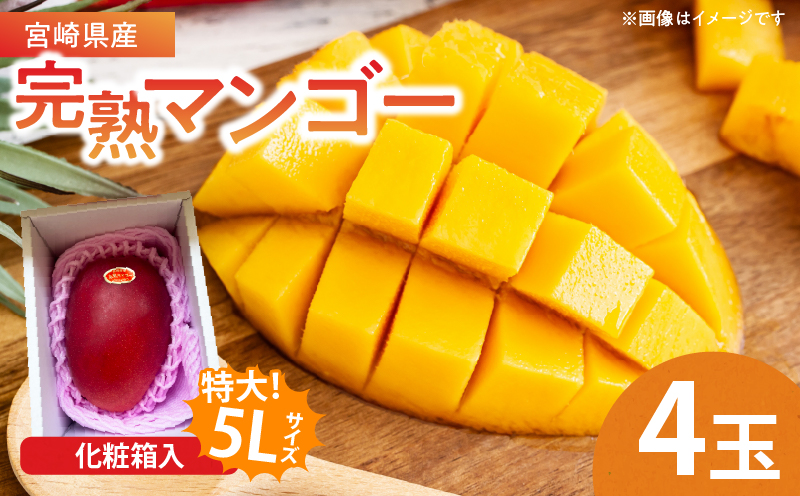 特大5Lサイズ 宮崎県産 完熟マンゴー 4玉 化粧箱入り 令和8年発送分 期間限定 数量限定 フルーツ 果物 くだもの 国産 食品 デザート おすすめ ご褒美 贅沢 産地直送 特大 希少 お祝 お土産 プレゼント ギフト 贈り物 宮崎県 日南市 送料無料_GF1-24