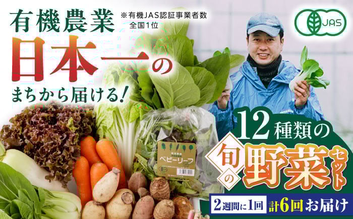 
【全6回隔週定期便】有機野菜 12種セット 野菜 詰め合わせ 熊本県産 山都町産 産地直送 オーガニック【株式会社 肥後やまと】[YAF005]
