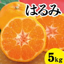 【ふるさと納税】【先行予約】はるみ約5kg【2025年2月以降発送】広島 三原 佐木島 鷺島みかんじま フルーツ 蜜柑 柑橘 果物 みかん ミカン 産地直送 お取り寄せ 017022