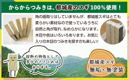 都城市産スギ「からからつみき108」[480P入]_AF-D902_(都城市) 都城市産杉 つみき からからつみき108 480ピース 対象年齢3歳～