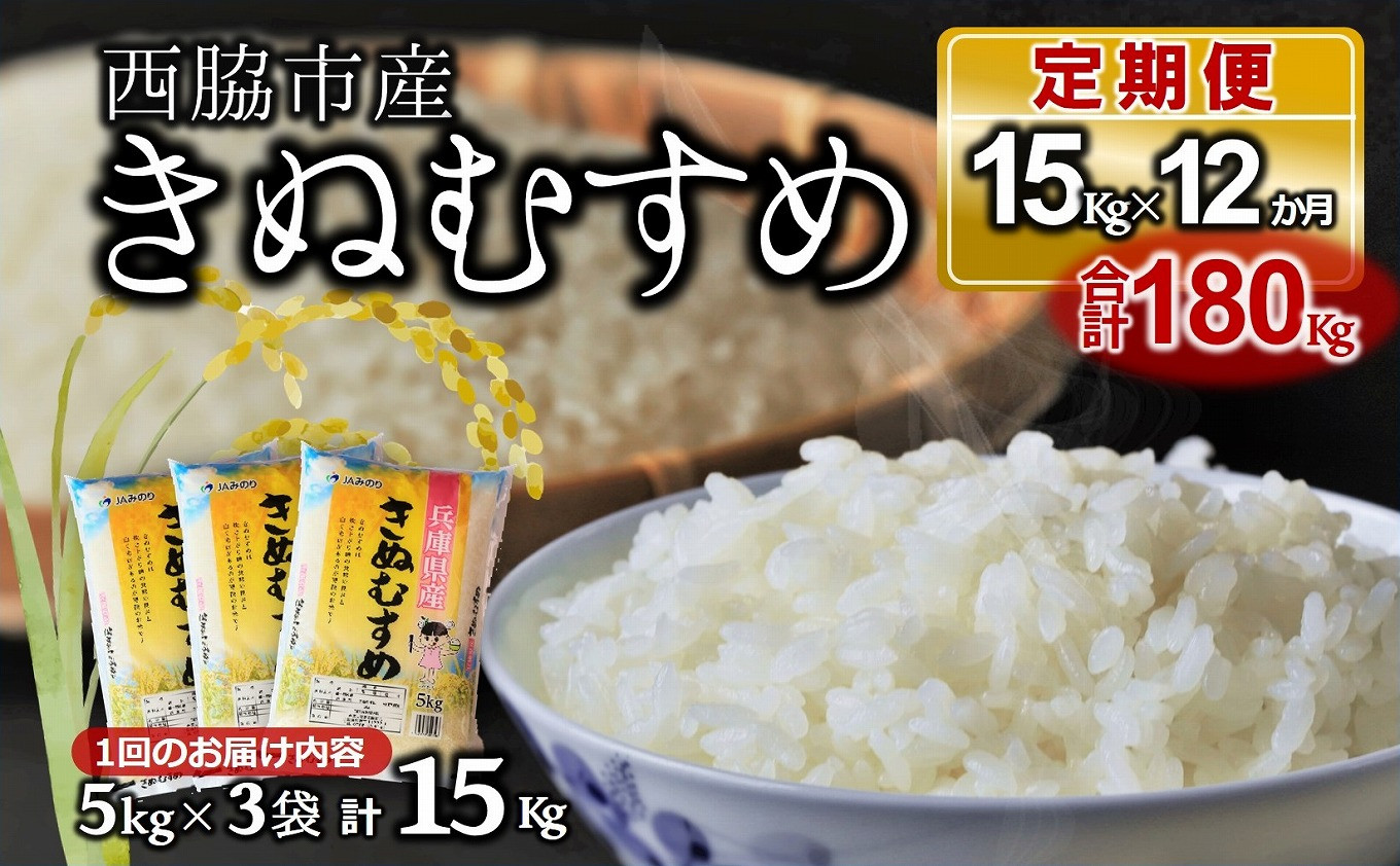 
【ブランド米 きぬむすめ 定期便！12ヵ月連続お届け！】合計180kg（精米5kg×3袋12か月）(230.5-1)
