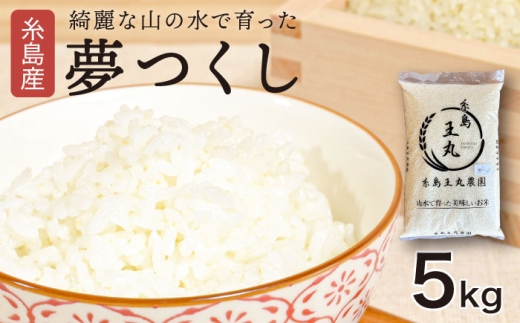 【令和7年産】糸島産 夢つくし 5kg　糸島市 / 糸島王丸農園 ( 谷口汰一 )【いとしまごころ】[AAZ001]