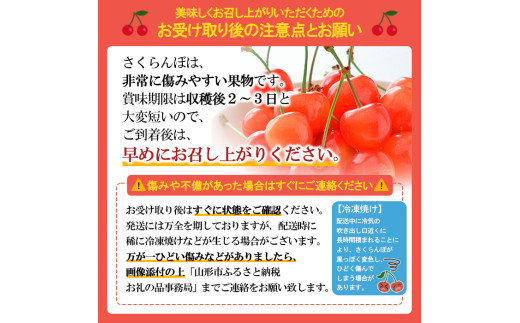 ☆フルーツ王国山形☆さくらんぼ 紅秀峰 L以上 700g バラ詰 【令和9年産先行予約】FS24-779