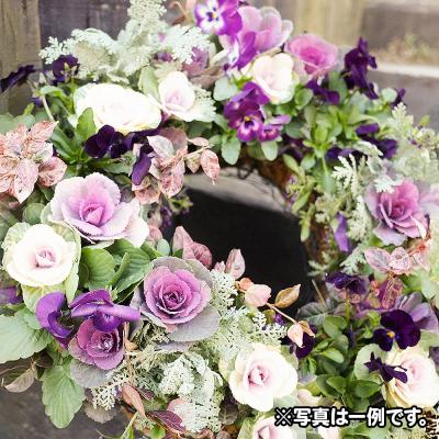 ふるさと納税 板倉町 ハンギングリース　季節のアレンジ (暖色系) 直径約40cm|13_ymn-010101 |  | 01