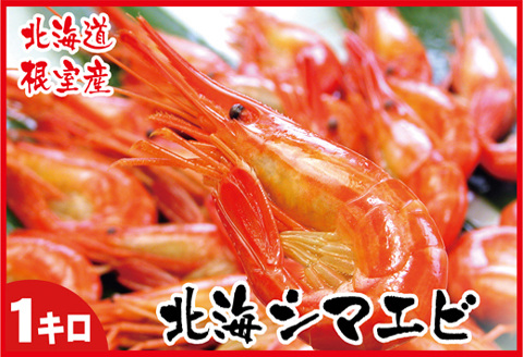 【北海道根室産】北海シマエビ1kg(160～180尾) A-07012