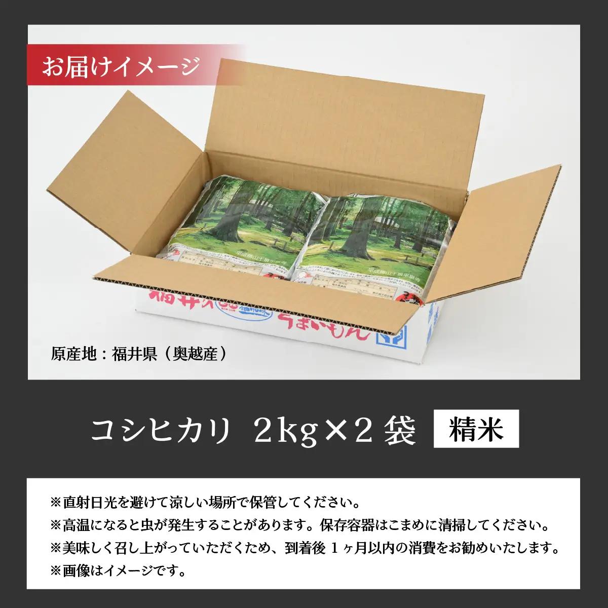 コシヒカリ 4kg 精米 コシヒカリ