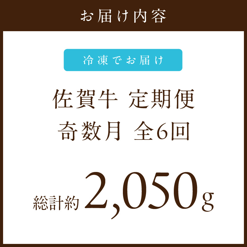 【発送月固定 定期便】肉の定期便! 厳選 佐賀牛 隔月お届け（奇数月）全6回 J1169