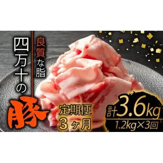 【 豚肉 】 豚肉定期便3ヶ月3.6kg