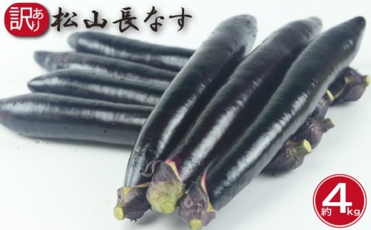 訳あり 松山長なす 約4kg | 夏野菜 茄子 わけあり 不揃い ナス 長なす ワケアリ 長ナス  野菜 国産 国内産 愛媛県 松山市