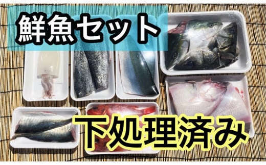 OM-39　みくりや季節の鮮魚セット（下処理済み）