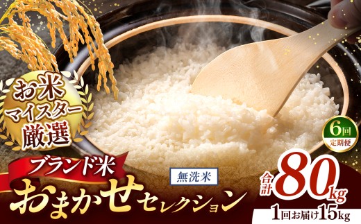 【 令和7年産 】おまかせ セレクション 【定期便6回】熊本県産 無洗米  ＜ひのひかり / 森のくまさん / くまさんの輝き ＞ 15kg  | 単一銘柄 米 単一米 お米 こめ 小分け 人気 コメ お米 5kg 10kg 15kg 20kg 25kg 30kg 定期便 3回 6回 12回 ブランド米 菊池川流域 家庭用 送料無料 熊本 くまもと 熊本県 和水 和水町 人気 ごはん