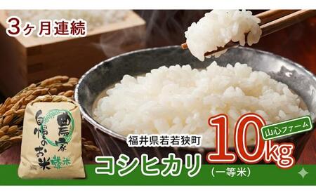 コシヒカリ 3ヶ月連続 令和8年産 一等 10kg コシヒカリ