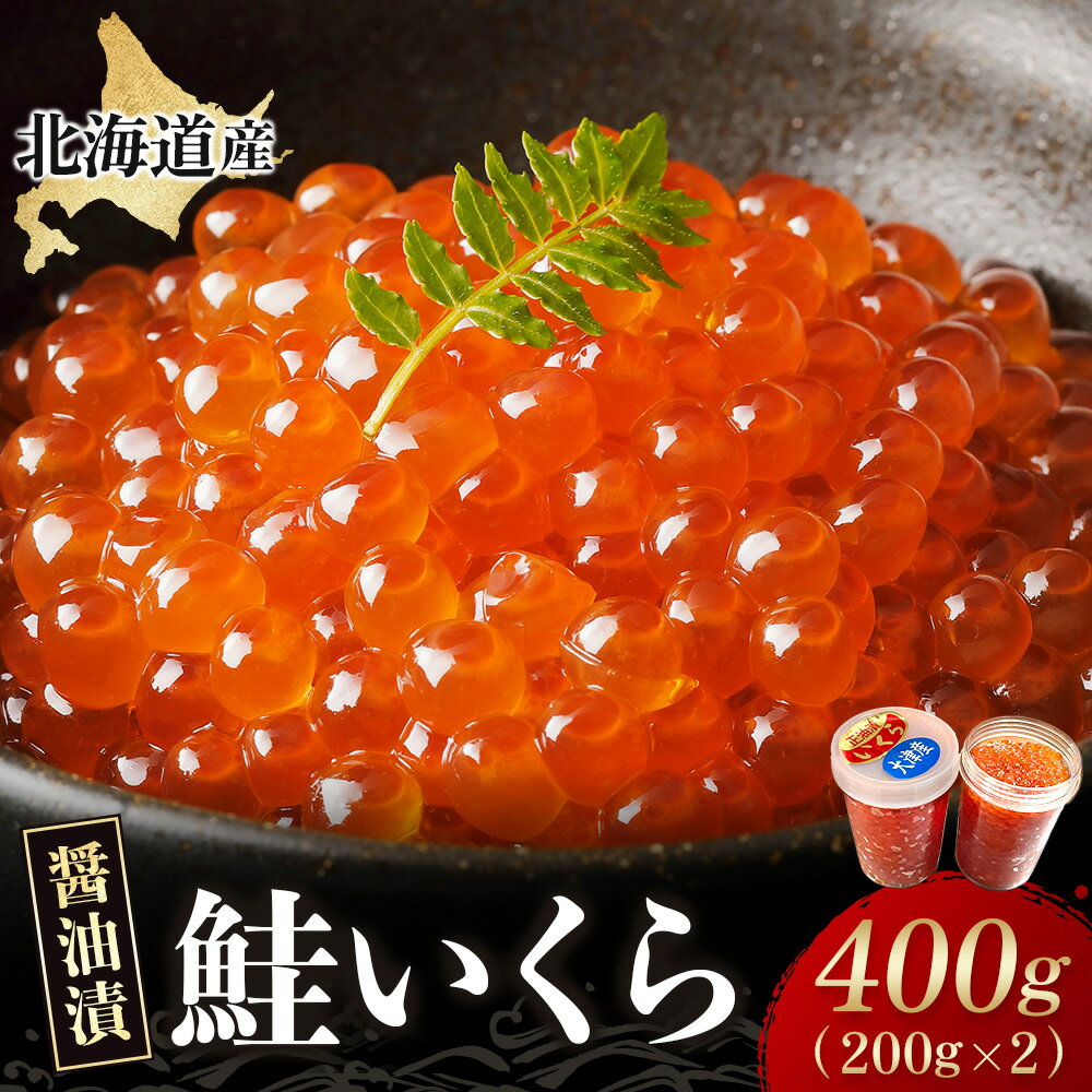 【ふるさと納税】北海道産 いくら 400g(200g×2） 国産 鮭イクラ シャケいくら 天然 小分け いくら 直送 イクラ ふるさと納税 鮭いくら イクラ