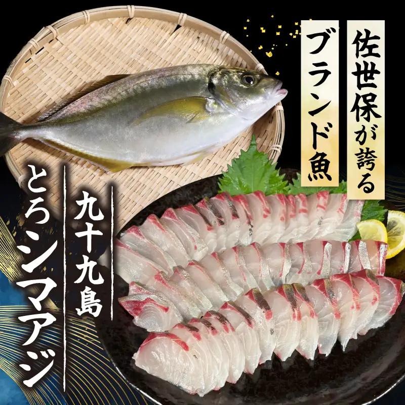 【シマアジ】 刺身 フィーレ 2節 下処理済み シマアジ 鯵 YM001