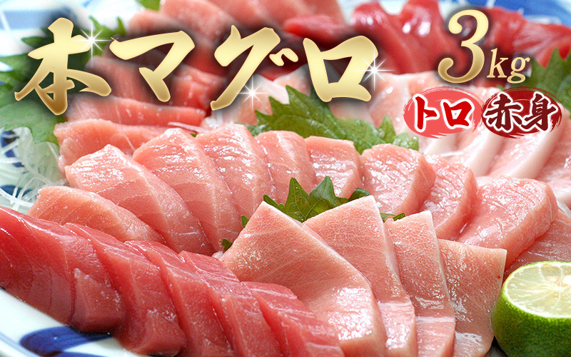 
            【発送時期が選べる！】 本マグロ（養殖）トロ＆赤身セット 3kg / 北山村 人気 No.1 マグロ まぐろ 鮪 本まぐろ クロマグロ 中トロ とろ 赤身 柵 刺身 海鮮 鮮魚 魚 魚介 海の幸 冷凍 年内発送 年内配送 年末発送 年末配送 正月 お正月 【nks112-cho】
          
