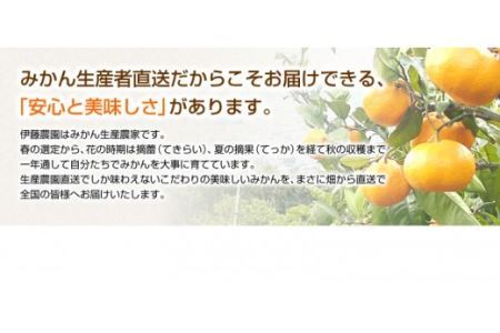 訳アリ 旬のかんきつ詰め合わせ 10kg(B145-4)