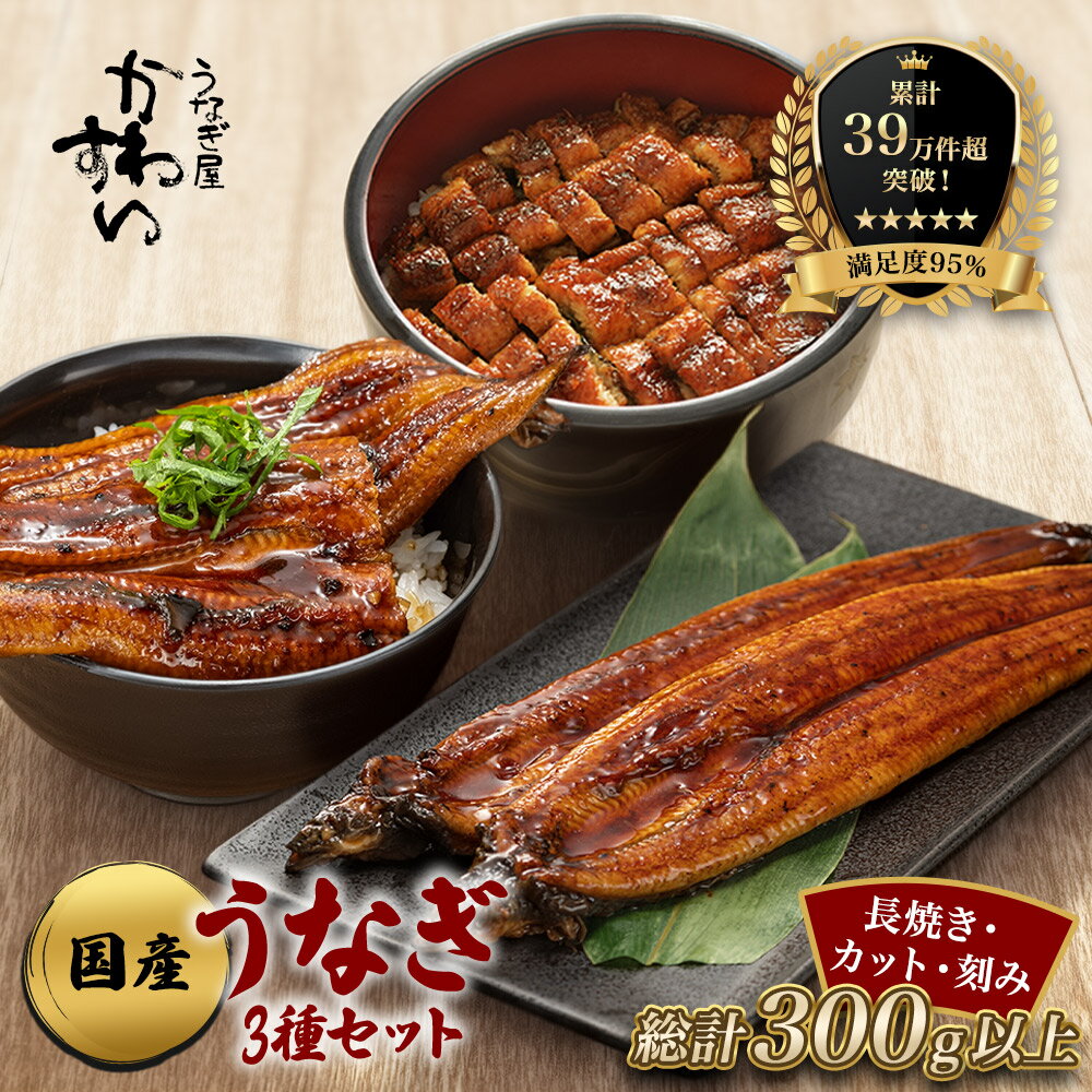 国産うなぎ蒲焼3種セット