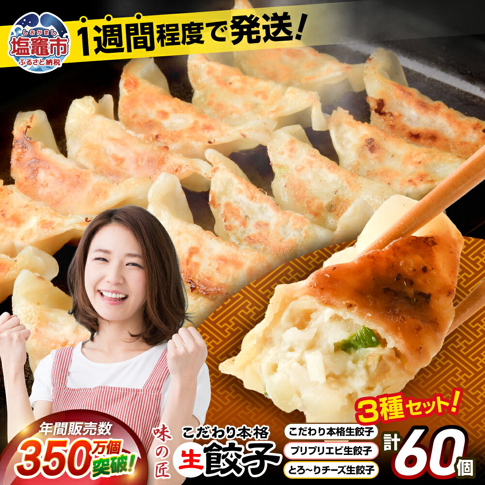 【ふるさと納税】本格生餃子3種類詰め合わせ60個（12人前） 餃子 味の匠 ｜ チーズ餃子 エビ餃子 海老餃子 チーズ生餃子 エビ生餃子 海老生餃子 国産小麦使用 味の匠 無添加 定期便 最短発送 タクミホールディングス 宮城県 塩竈市 塩釜市 東北