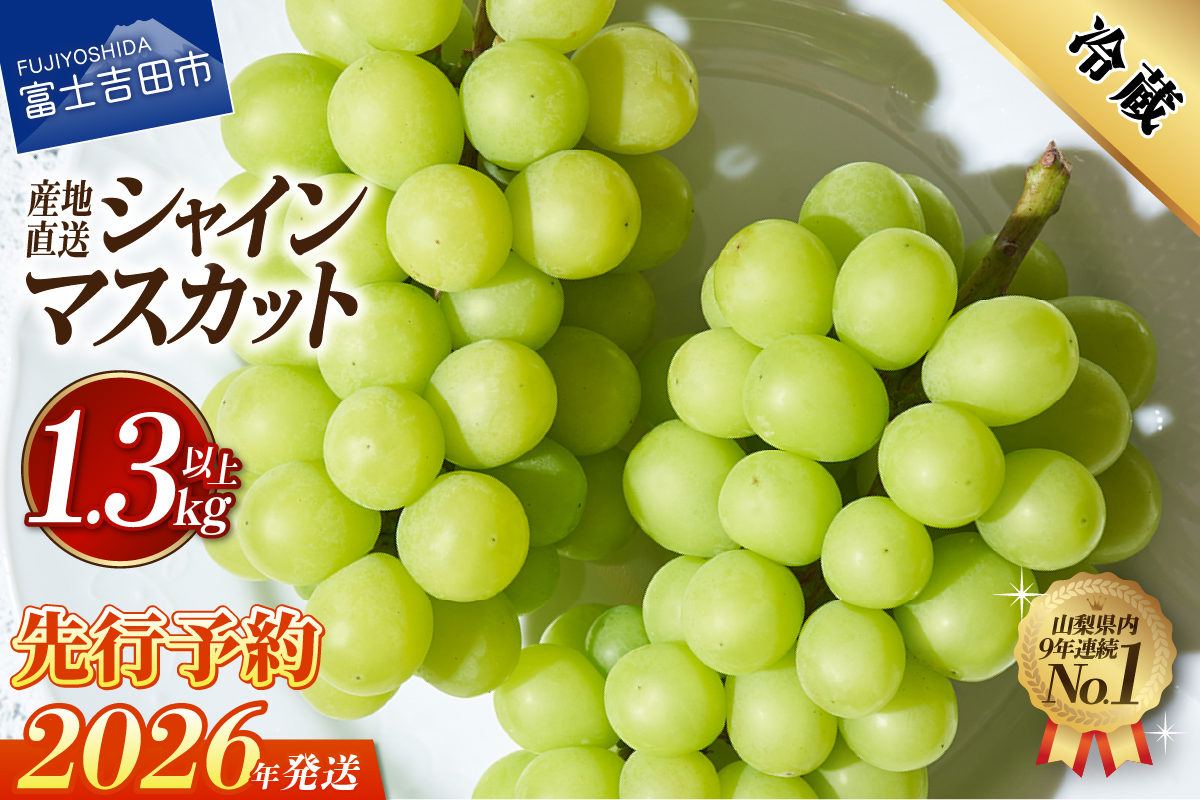 【2026年発送】高級 山梨県産 シャインマスカット 2～3房 （1.3kg以上）