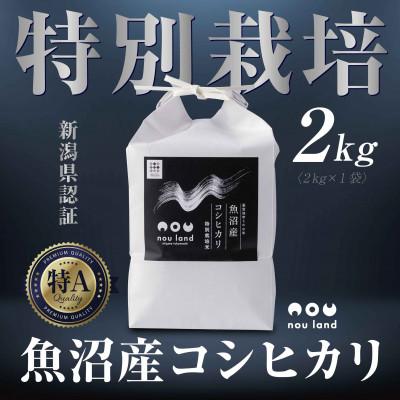 ふるさと納税 十日町市 【令和7年産 新米予約】 魚沼産 コシヒカリ 特別栽培米 2kg 新潟県 十日町市 のうランド