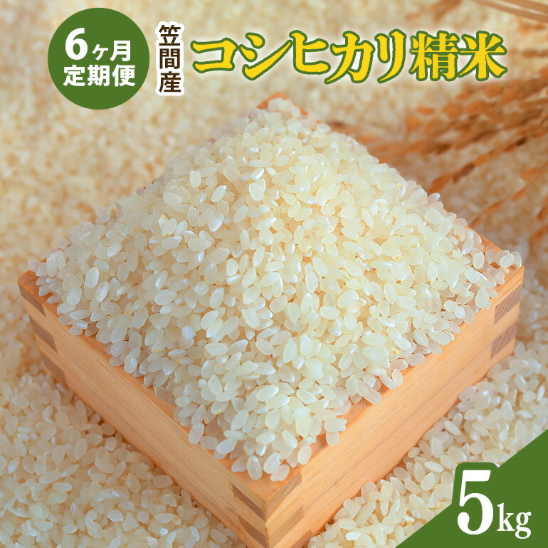 【ふるさと納税】【6カ月定期便】 令和7年度 笠間産 コシヒカリ 5kg (5kg×6回 計30kg) 精米 お米 米 白米 ご飯 茨城県
