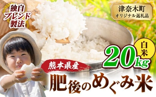 白米 熊本県産 ブレンド米 肥後のめぐみ米 20kg 熊本県産 ふるさと納税 精米 米 こめ ふるさとのうぜい コメ お米 おこめ