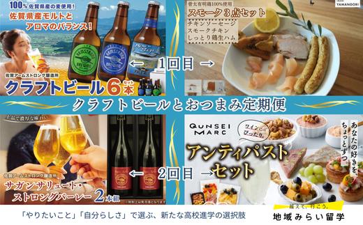 
            【定期便セット】クラフトビールとおつまみ×2回(クラフトビール6本&鶏肉加工品・発泡酒2本&燻製5点)
          