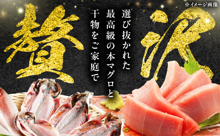 対馬産 本マグロ 中トロ 300g & 旬の干物 2種 《対馬市》【対海】 [WAH001] マグロ まぐろ 鮪 本鮪 本マグロ 養殖 トロ 中トロ 中とろ 刺身 干物 旬 魚 地魚 アジ カマス 冷