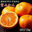 【ふるさと納税】【先行予約】【秀品】有田ブランド 賢みかん 5kg（Sサイズ）［2024年11月中旬より順次発送］【ミカン 蜜柑 柑橘 温州みかん 有田みかん】