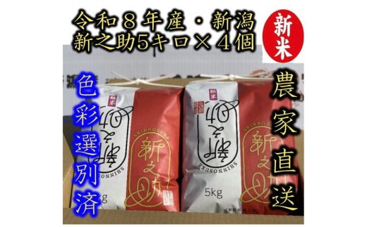 【令和8年産新米】 新潟県産「新之助」 白米 20kg（5kg×4袋） 阿賀野市産 中島農場 精米 新潟県 米 こめ コメ お米 ごはん ご飯 農家直送 色彩選別済 新米 新米予約 令和8年産 9月下旬より順次発送  3R10053