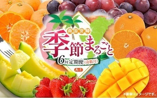 
                  【奇数月 6回定期便】旬 人気 フルーツ 南国宮崎産 太陽のタマゴ ピオーネ いちご みかん メロン マンゴー 柑橘 ぶどう 果物 詰め合わせ 宮崎県 九州＜A-1コース M110＞
                