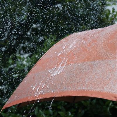 ふるさと納税 富士河口湖町 槙田商店【晴雨兼用】長傘 kirie ペイズリー:ビンテージアプリコット |  | 03