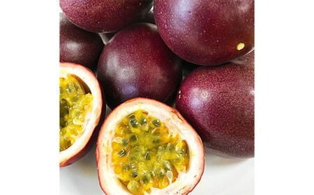 熊本県産 パッションフルーツ 約1キロ前後 果物 フルーツ パッションフルーツ 冷蔵便 熊本県産 【2026年7月上旬発送開始】