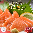 【ふるさと納税】ふくいサーモン合計 600g（刺身用）100g× 6パック 真空冷凍【サーモン 鮭 刺身 さけ サケ さかな 魚 人気 海鮮 海鮮食品 小分け お刺身用 生食用 生食可 低脂肪 低カロリー ヘルシー 冷凍 国産】