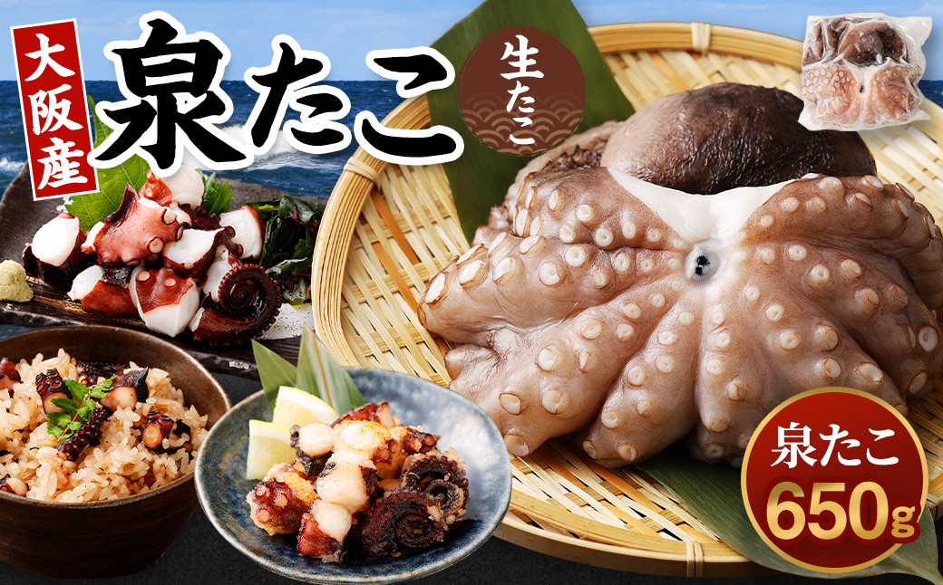 
大阪産 泉タコ （生たこ） 650g （1杯～3杯）×1袋 魚介類 海鮮 タコ たこ 真蛸 スミ抜き 塩もみ処理 下処理済み 簡単調理 冷凍
