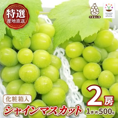 【2026発送予定】特選!シャインマスカット2房化粧箱入　山梨市産地直送　約500g×2房【配送不可地域：離島】