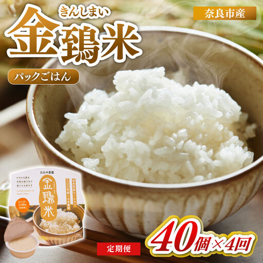 定期便 パックごはん 白米 40個×4回