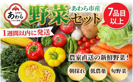 
【1週間以内に発送！】農家直送 旬の野菜セット 7品目以上 1箱
